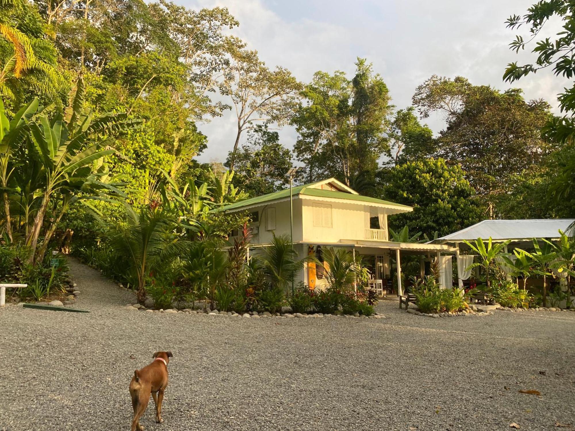 Colina Secreta - Glamping And Villas Puerto Viejo de Talamanca Exterior foto