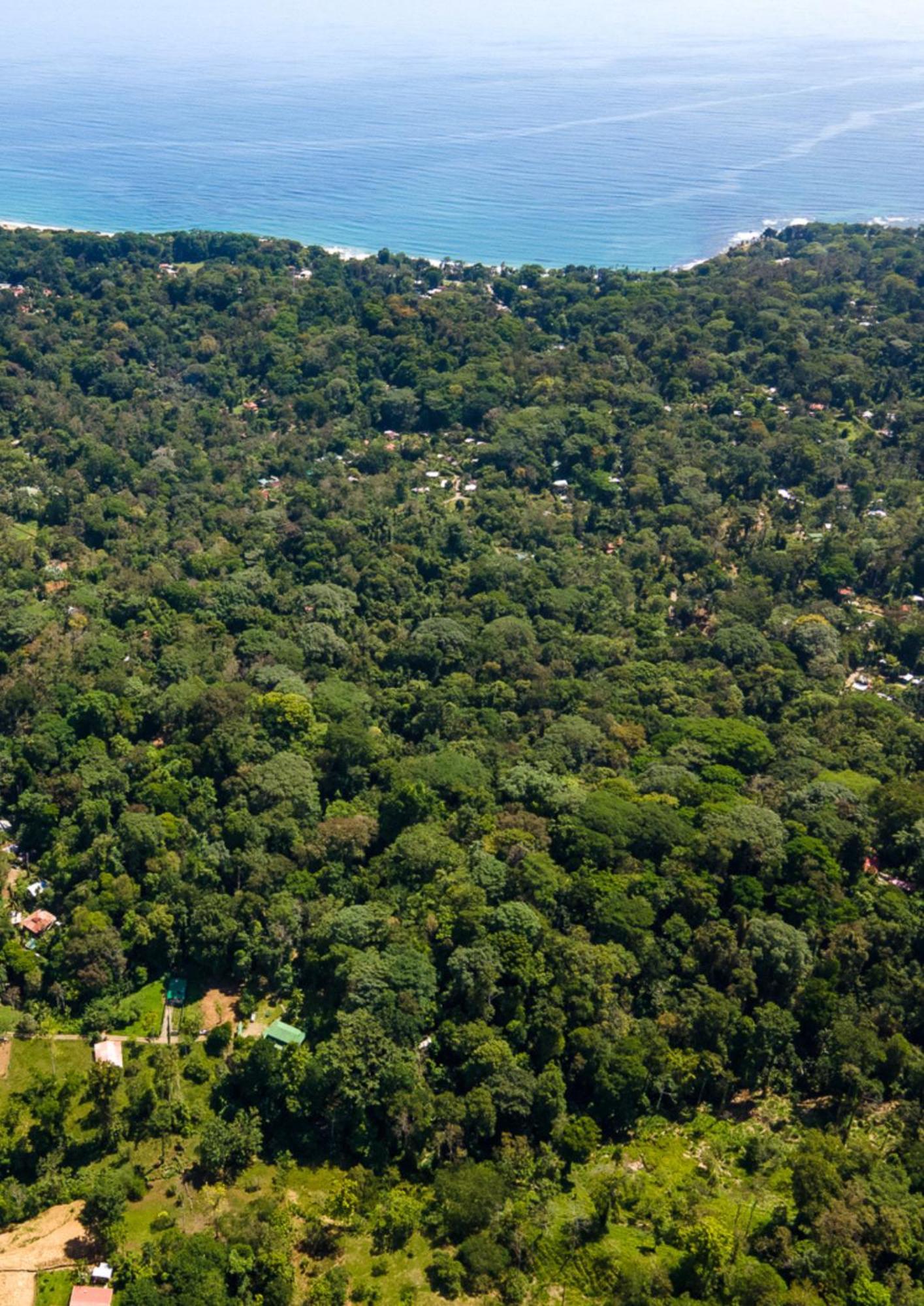 Colina Secreta - Glamping And Villas Puerto Viejo de Talamanca Exterior foto