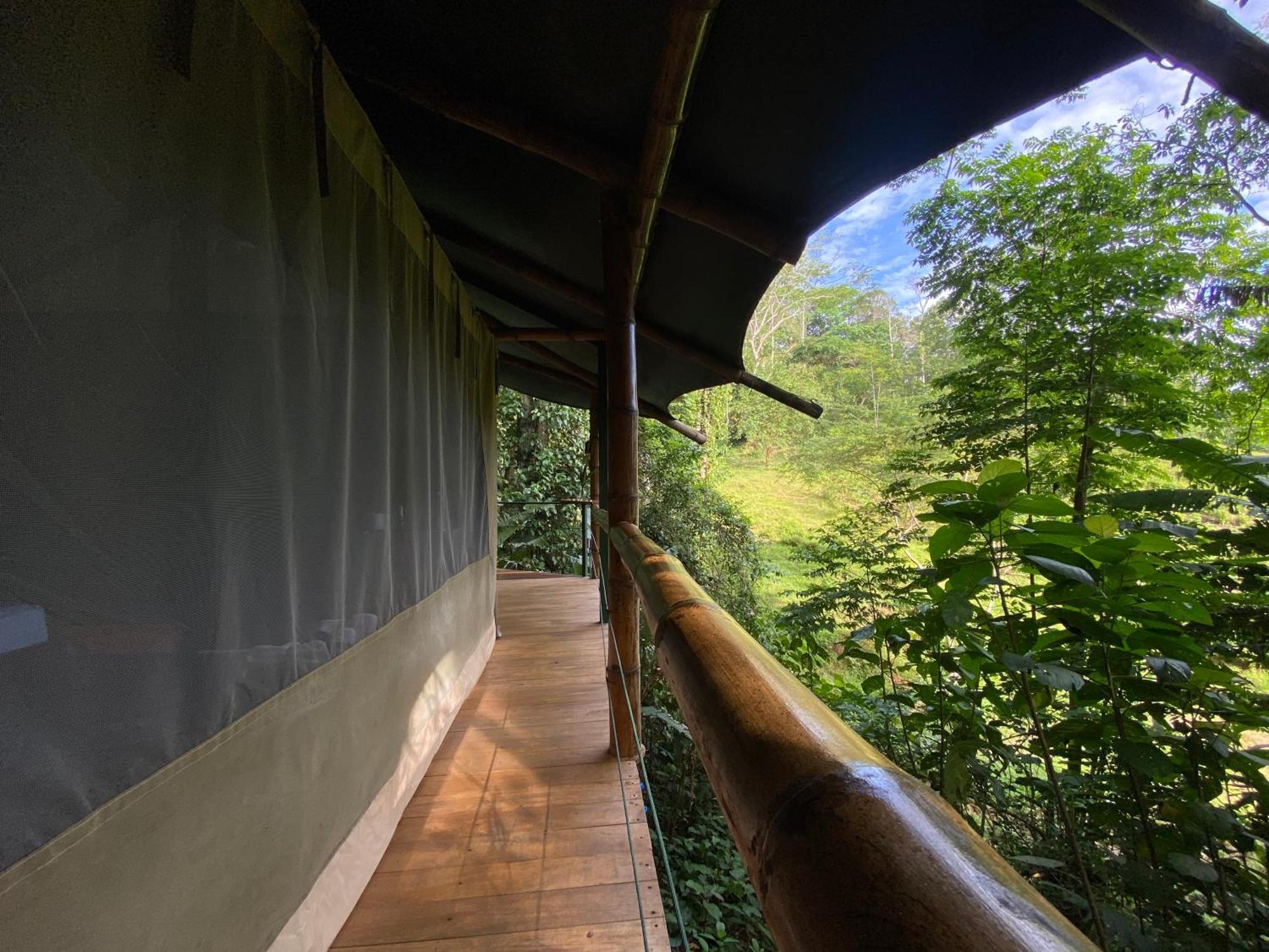 Colina Secreta - Glamping And Villas Puerto Viejo de Talamanca Exterior foto